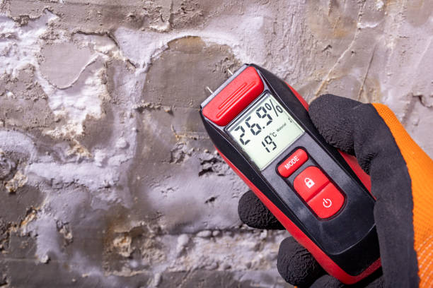 Best Professional Mold Removal  in Claxton, GA