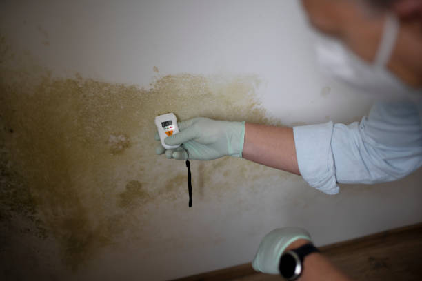 Best Mold Testing  in Claxton, GA